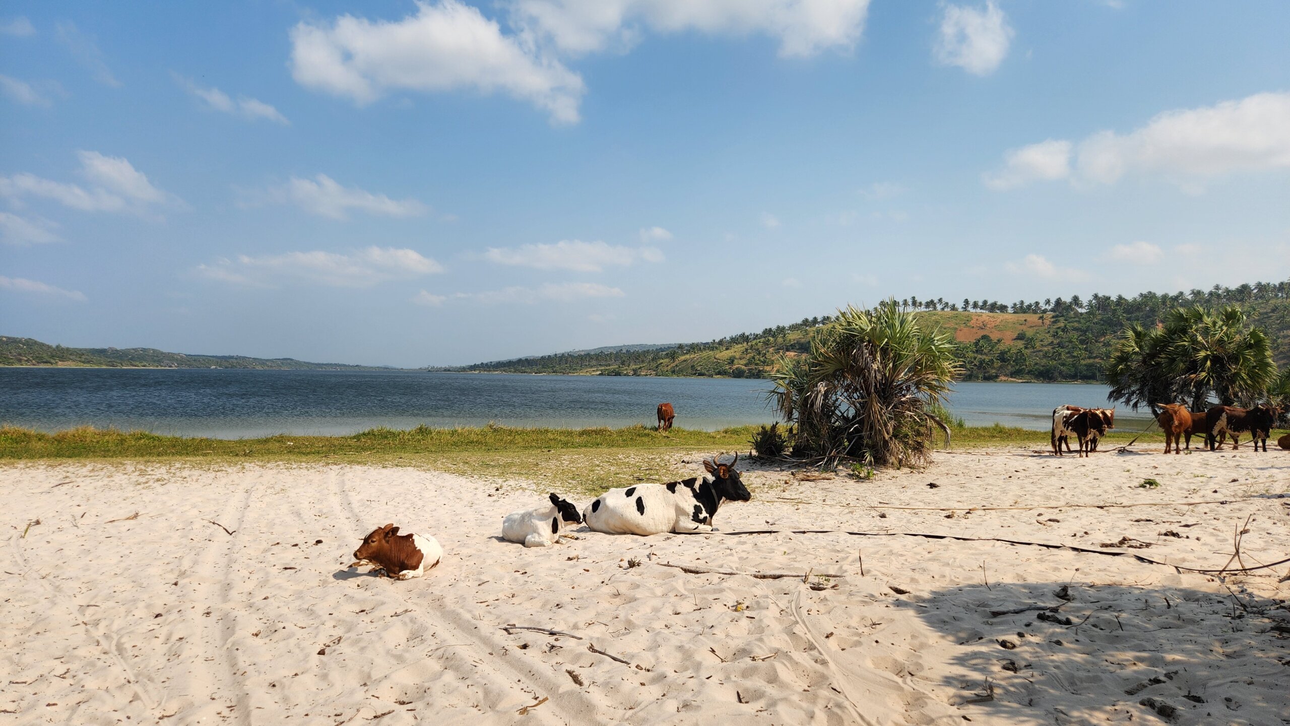 Buy cheap property in Mozambique | Land available