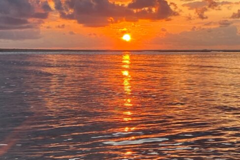 Screenshot_20260128_090106_Drive