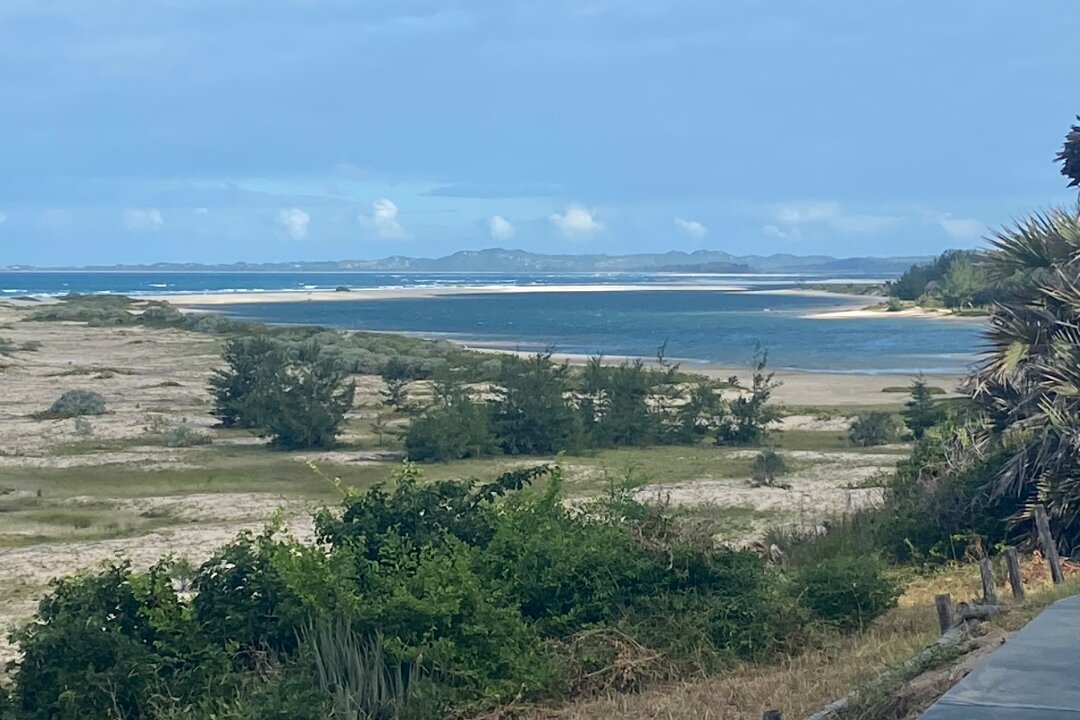 Screenshot_20260128_090154_Drive