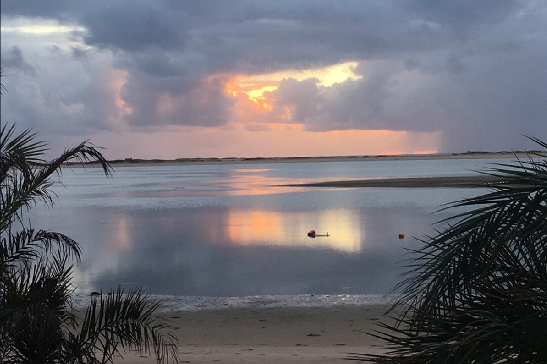 Screenshot_20260128_090407_Drive